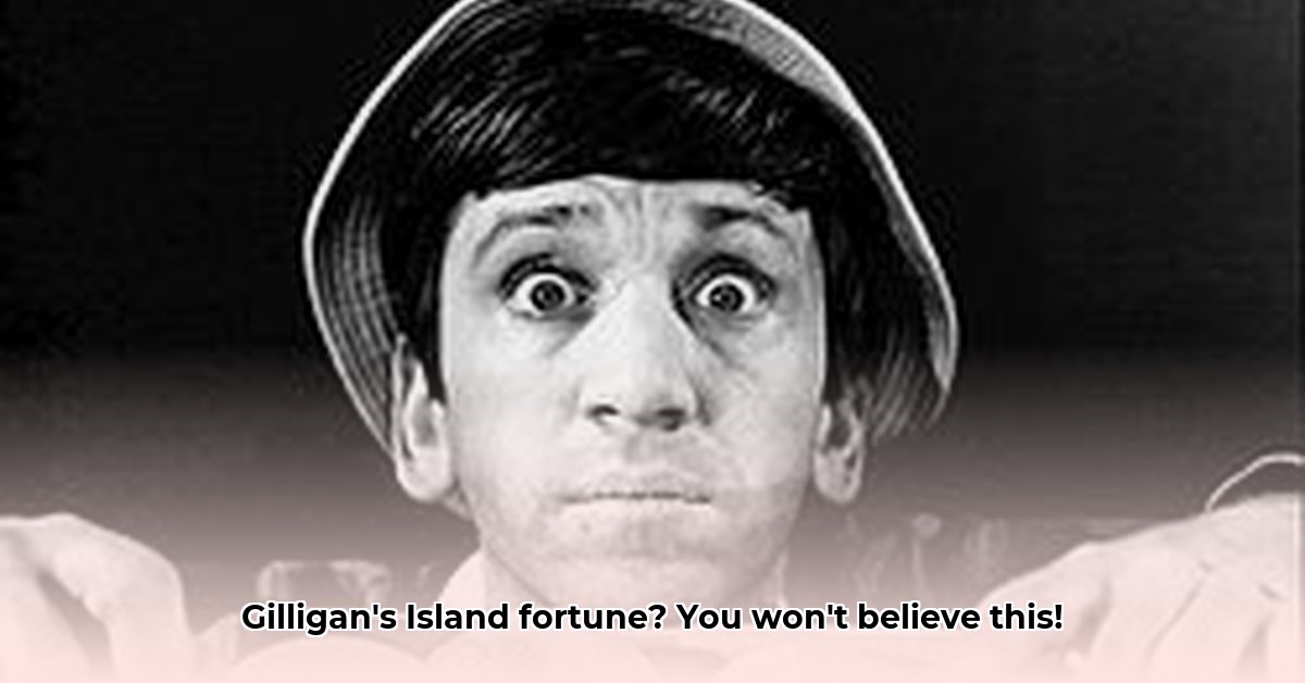 bob-denver-net-worth